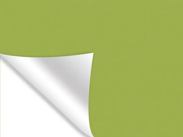 Madagaskar 067 - zelená - (thermo)