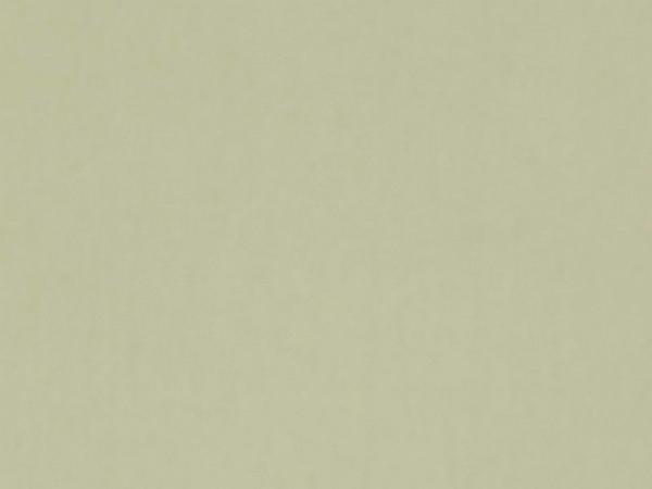 Eden 114 - bledo zelená