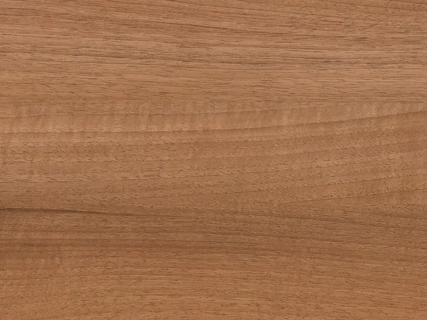 Sieťky na OKNO - pevné - WINCHESTER XA renolit